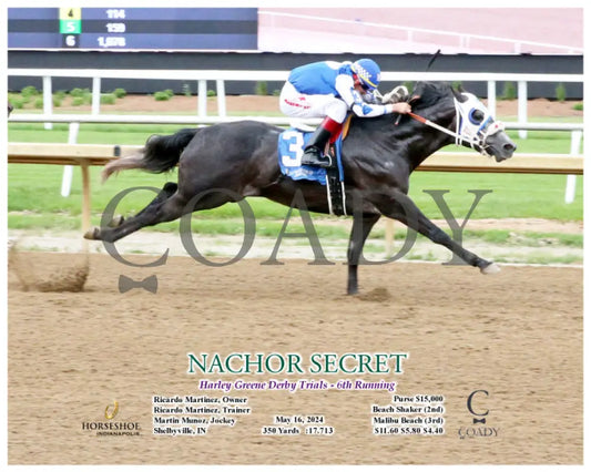 Nachor Secret - Harley Greene Derby Trials 6Th Running 05-16-24 R09 Ind Action Indiana Grand