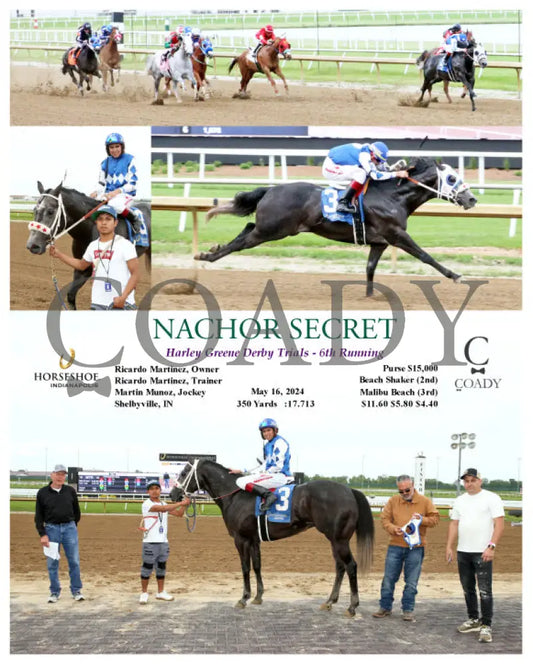 Nachor Secret - Harley Greene Derby Trials 6Th Running 05-16-24 R09 Ind Indiana Grand