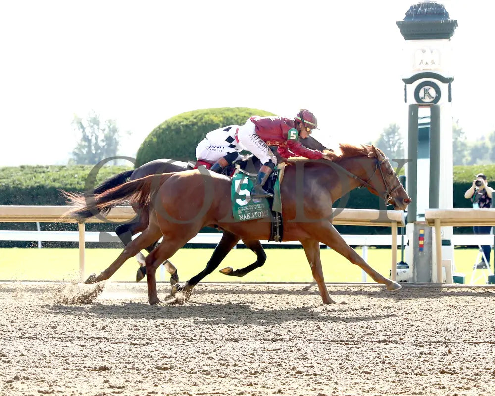 NAKATOMI - The Stoll Keenon Ogden Phoenix G2 - 10-03-25 - R07 - KEE - Finish 01 Keeneland