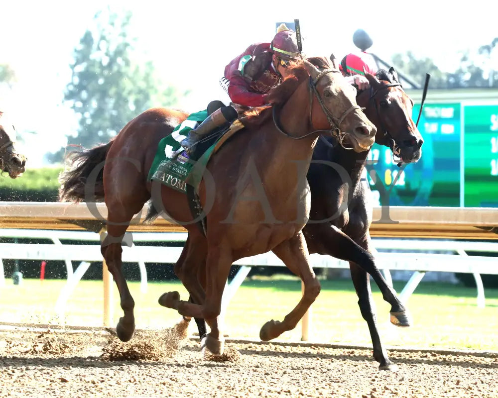NAKATOMI - The Stoll Keenon Ogden Phoenix G2 - 10-03-25 - R07 - KEE - Finish 02 Keeneland