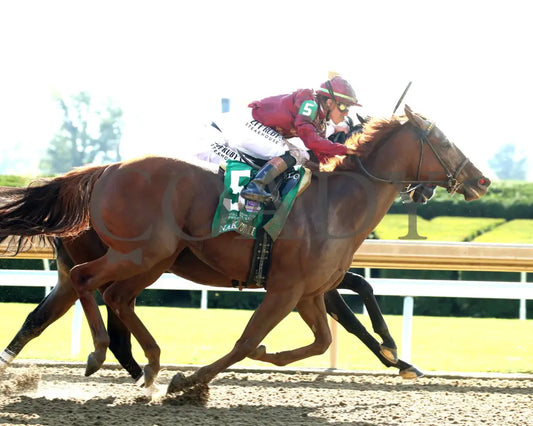NAKATOMI - The Stoll Keenon Ogden Phoenix G2 - 10-03-25 - R07 - KEE - Finish 04 Keeneland
