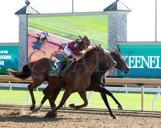 NAKATOMI - The Stoll Keenon Ogden Phoenix G2 - 10-03-25 - R07 - KEE - Finish 03 Keeneland