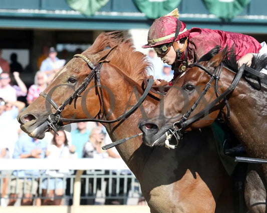 NAKATOMI - The Stoll Keenon Ogden Phoenix G2 - 10-03-25 - R07 - KEE - Inside Finish 01 Keeneland