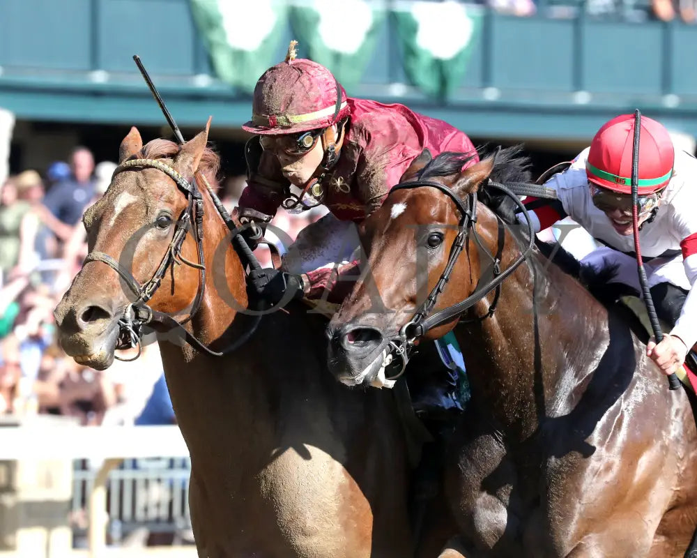 NAKATOMI - The Stoll Keenon Ogden Phoenix G2 - 10-03-25 - R07 - KEE - Inside Finish 02 Keeneland