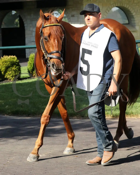 NAKATOMI - The Stoll Keenon Ogden Phoenix G2 - 10-03-25 - R07 - KEE - Paddock 01 Keeneland