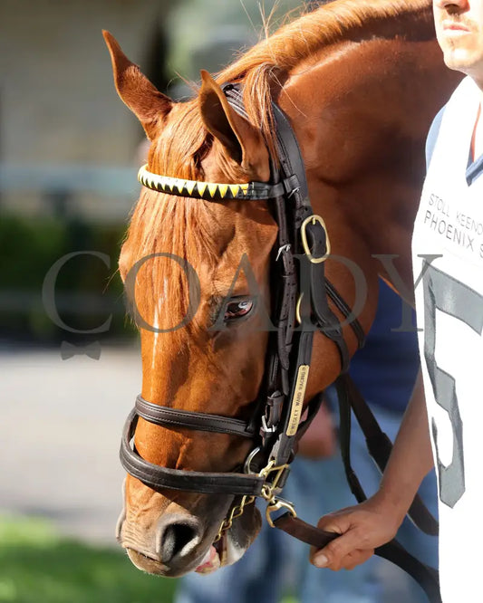 NAKATOMI - The Stoll Keenon Ogden Phoenix G2 - 10-03-25 - R07 - KEE - Paddock 04 Keeneland
