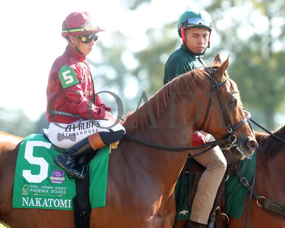 NAKATOMI - The Stoll Keenon Ogden Phoenix G2 - 10-03-25 - R07 - KEE - Post Parade 01 Keeneland