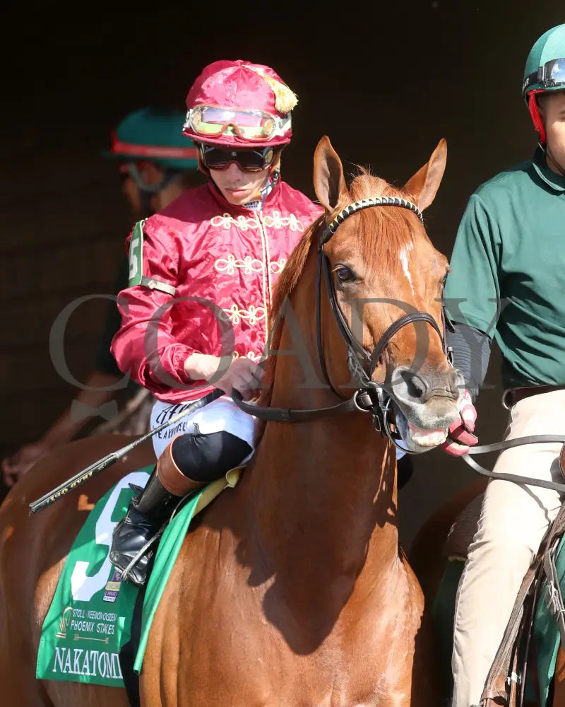 NAKATOMI - The Stoll Keenon Ogden Phoenix G2 - 10-03-25 - R07 - KEE - Post Parade 02 Keeneland