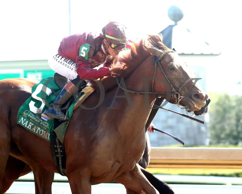 NAKATOMI - The Stoll Keenon Ogden Phoenix G2 - 10-03-25 - R07 - KEE - Tight Finish 02 Keeneland