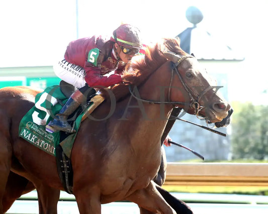 NAKATOMI - The Stoll Keenon Ogden Phoenix G2 - 10-03-25 - R07 - KEE - Tight Finish 02 Keeneland
