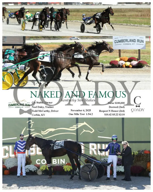 NAKED AND FAMOUS - Kentucky Sire Stakes - 11-04-25 - R02 - CMR Presque Isle Downs