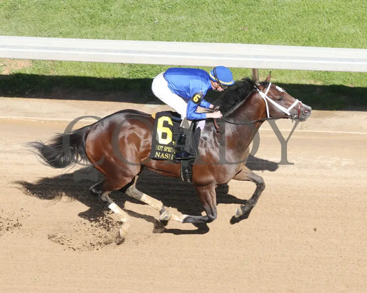 Nash - The Hot Springs 2Nd Running 03 - 23 - 24 R08 Op Arial Finish 01 Oaklawn Park