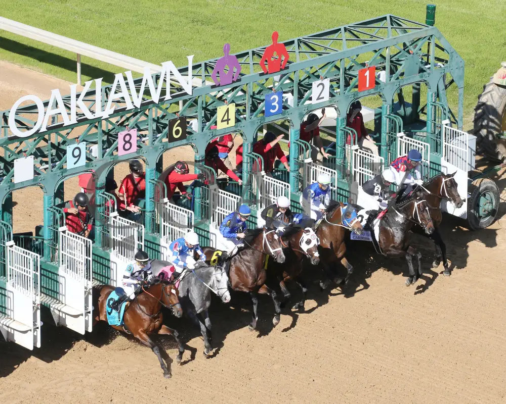 Nash - The Hot Springs 2Nd Running 03 - 23 - 24 R08 Op Arial Start 01 Oaklawn Park