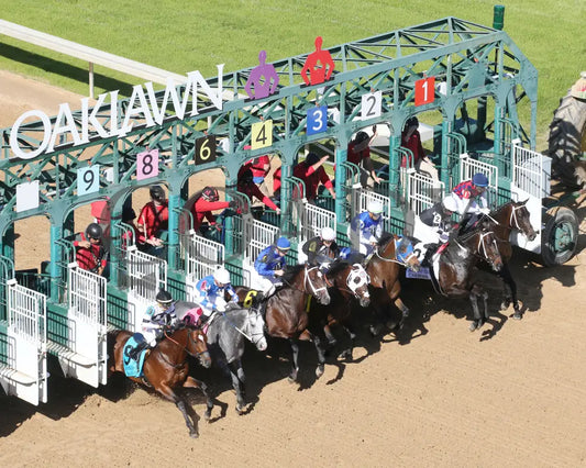 Nash - The Hot Springs 2Nd Running 03 - 23 - 24 R08 Op Arial Start 01 Oaklawn Park