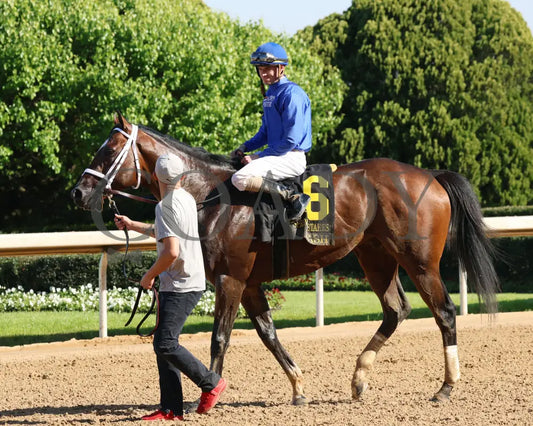 Nash - The Hot Springs 2Nd Running 03 - 23 - 24 R08 Op Come Back 01 Oaklawn Park