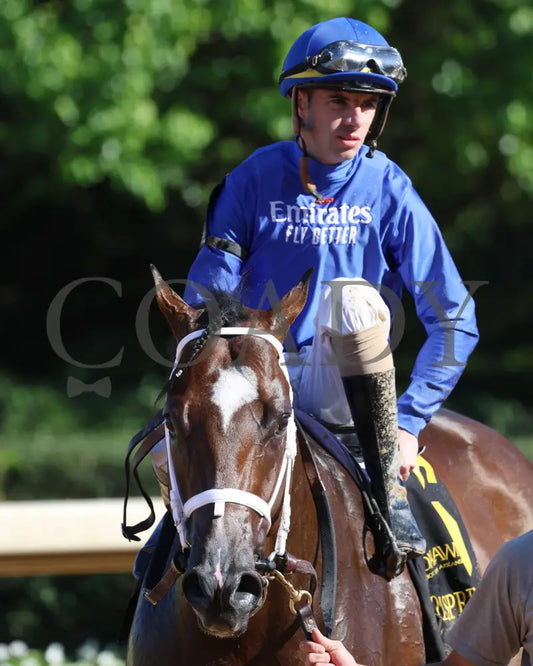 Nash - The Hot Springs 2Nd Running 03 - 23 - 24 R08 Op Come Back 02 Oaklawn Park