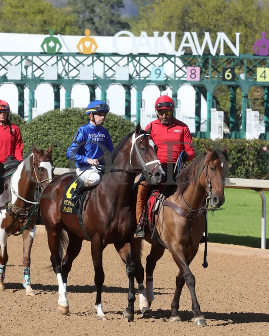 Nash - The Hot Springs 2Nd Running 03 - 23 - 24 R08 Op Post Parade 02 Oaklawn Park