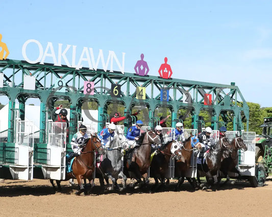 Nash - The Hot Springs 2Nd Running 03 - 23 - 24 R08 Op Start 01 Oaklawn Park