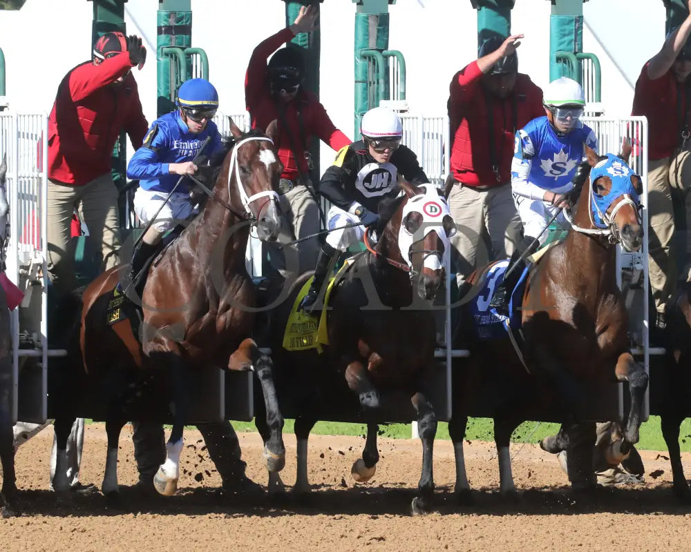 Nash - The Hot Springs 2Nd Running 03 - 23 - 24 R08 Op Start 02 Oaklawn Park