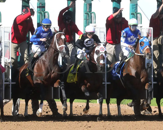 Nash - The Hot Springs 2Nd Running 03 - 23 - 24 R08 Op Start 02 Oaklawn Park
