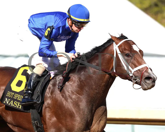 Nash - The Hot Springs 2Nd Running 03 - 23 - 24 R08 Op Tight Finish 01 Oaklawn Park