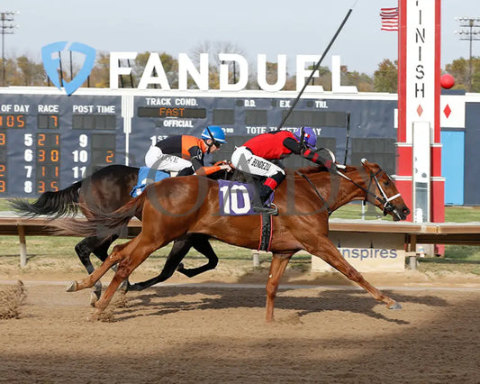 Natalia’s Rap - 10-29-24 R07 Pat Whitworth Debutante Fanduel Finish 01 Sportsbook Horse Racing