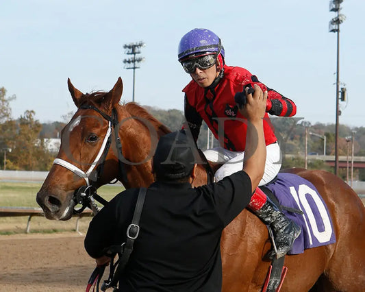 Natalia’s Rap - 10-29-24 R07 Pat Whitworth Debutante Fanduel Jockey Celebration Sportsbook Horse