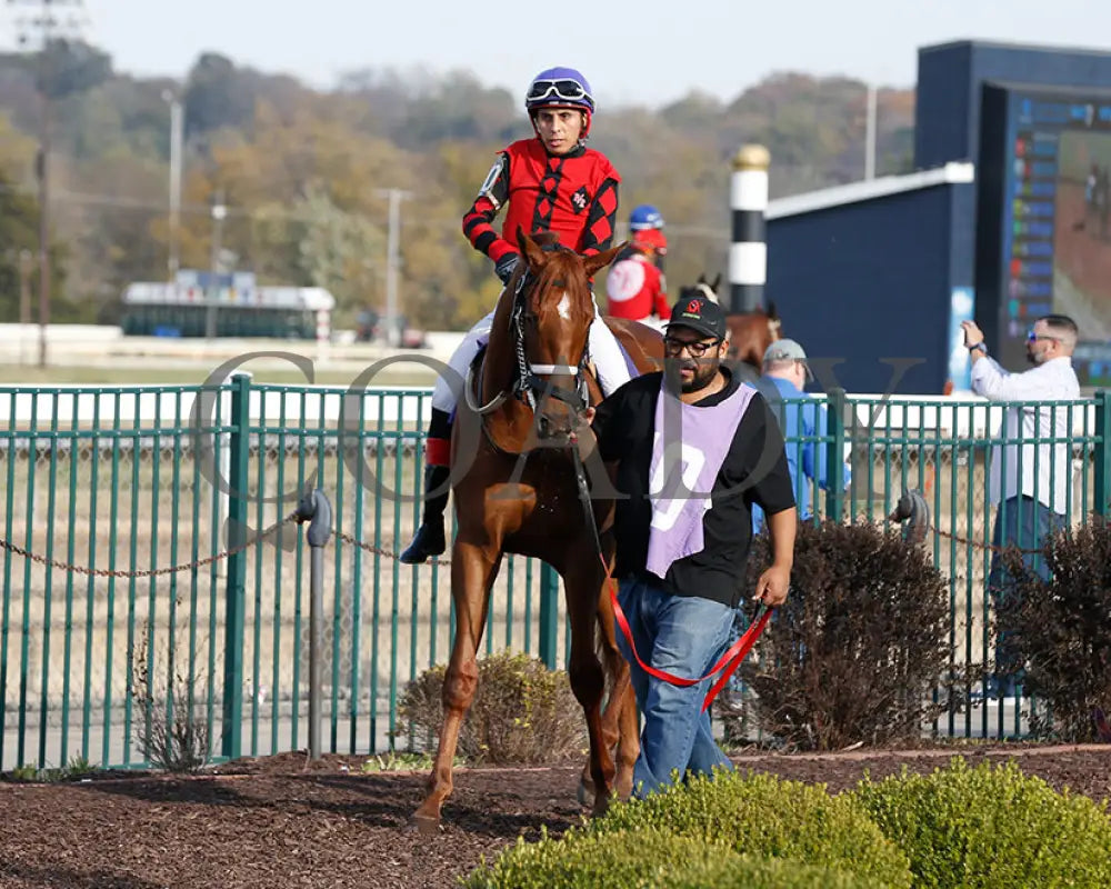 Natalia’s Rap - 10-29-24 R07 Pat Whitworth Debutante Fanduel Paddock Sportsbook Horse Racing