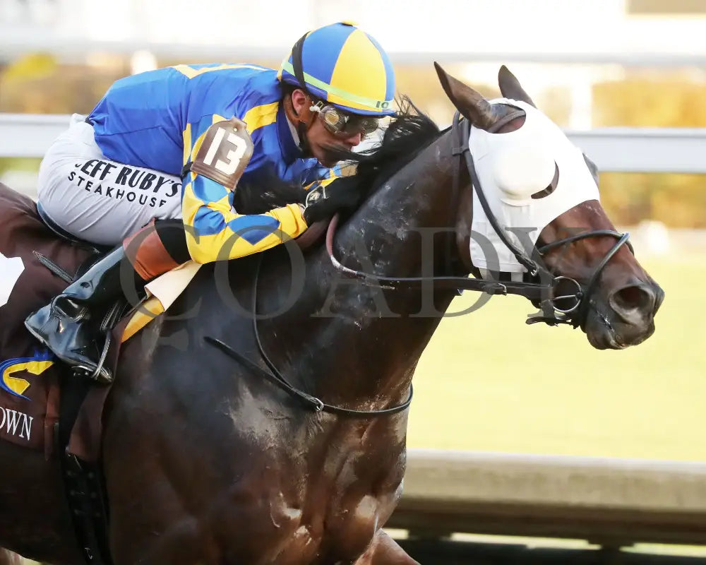 NATION - 111525 - Race 09 - The Rapid Transit Starter - CD - Finish 03 - Coady Media - Kurtis Coady Photography