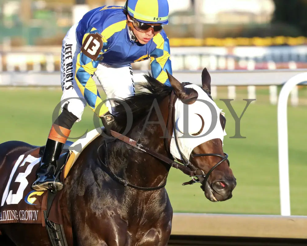 NATION - 111525 - Race 09 - The Rapid Transit Starter - CD - Gallop Out 02 - Coady Media - Kurtis Coady Photography