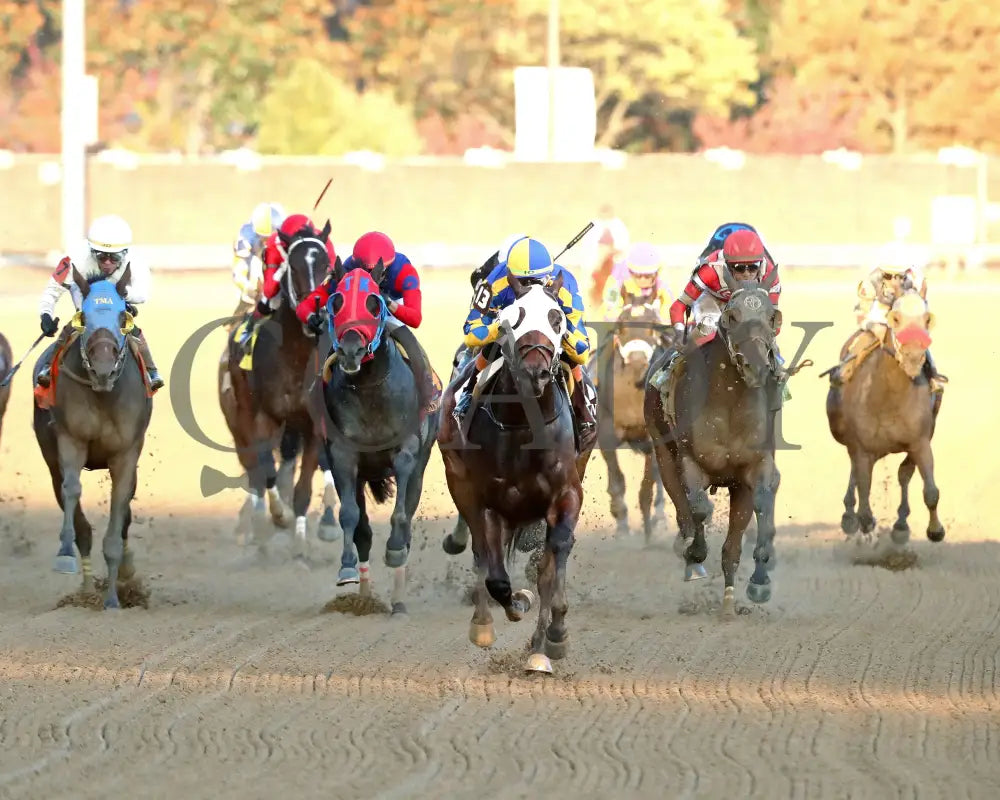 NATION - 111525 - Race 09 - The Rapid Transit Starter - CD - Head On 01 - Coady Media - Kurtis Coady Photography