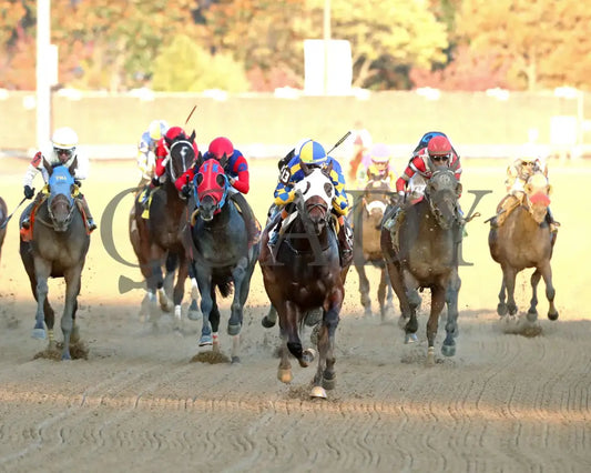 NATION - 111525 - Race 09 - The Rapid Transit Starter - CD - Head On 01 - Coady Media - Kurtis Coady Photography