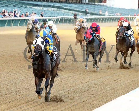 NATION - 111525 - Race 09 - The Rapid Transit Starter - CD - Inside Finish 01 - Coady Media - Kurtis Coady Photography