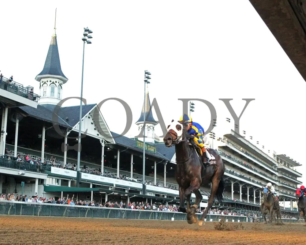NATION - 111525 - Race 09 - The Rapid Transit Starter - CD - Under Rail 01 - Coady Media - Kurtis Coady Photography