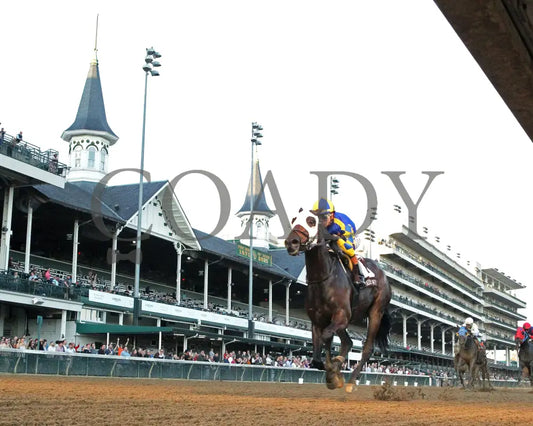 NATION - 111525 - Race 09 - The Rapid Transit Starter - CD - Under Rail 01 - Coady Media - Kurtis Coady Photography