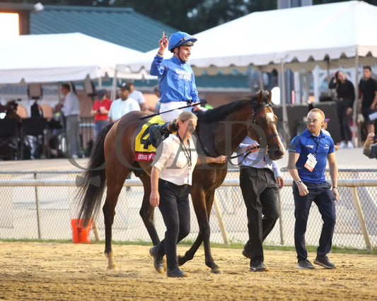 Nation’s Pride - The Arlington Million 08-11-24 R11 Cnl Come Back 03 Colonial Downs