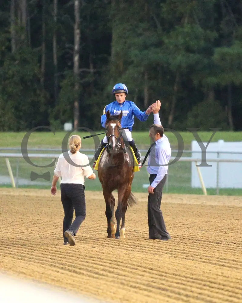 Nation’s Pride - The Arlington Million 08-11-24 R11 Cnl Come Back 04 Colonial Downs