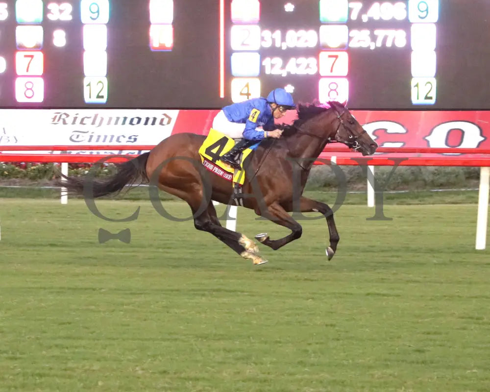 Nation’s Pride - The Arlington Million 08-11-24 R11 Cnl Finish 01 Colonial Downs