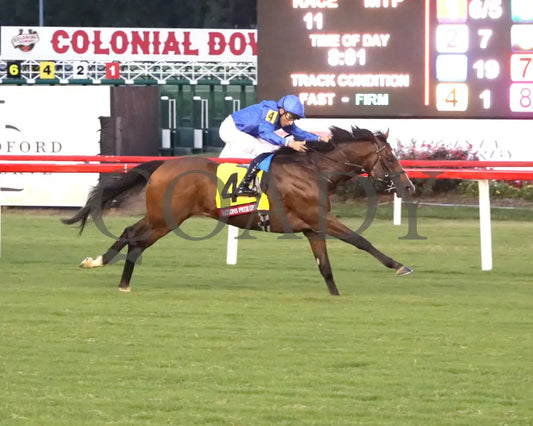 Nation’s Pride - The Arlington Million 08-11-24 R11 Cnl Finish 02 Colonial Downs