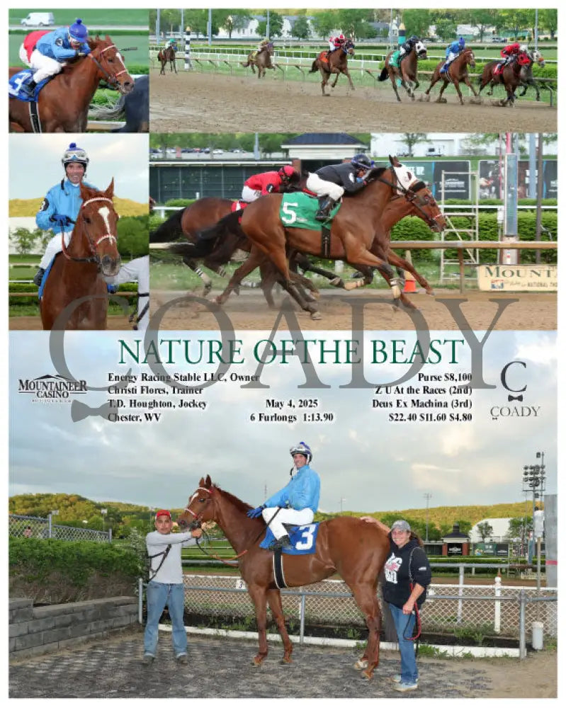 NATURE OFTHE BEAST - 05-04-25 - R03 - MNR Mountaineer Park