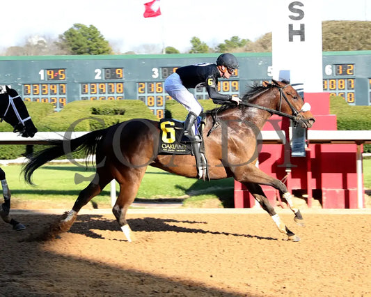 NAVY SEAL - The Nodouble Breeders’ Stakes - 17th Running - 03-02-25 - R07 - OP - Finish 01 Oaklawn Park