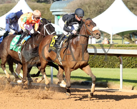 NAVY SEAL - The Nodouble Breeders’ Stakes - 17th Running - 03-02-25 - R07 - OP - Finish 03 Oaklawn Park