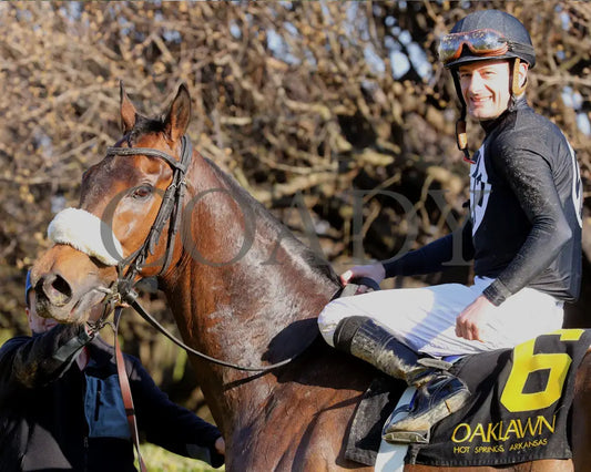 NAVY SEAL - The Nodouble Breeders’ Stakes - 17th Running - 03-02-25 - R07 - OP - Winners Circle Tight 01 Oaklawn Park