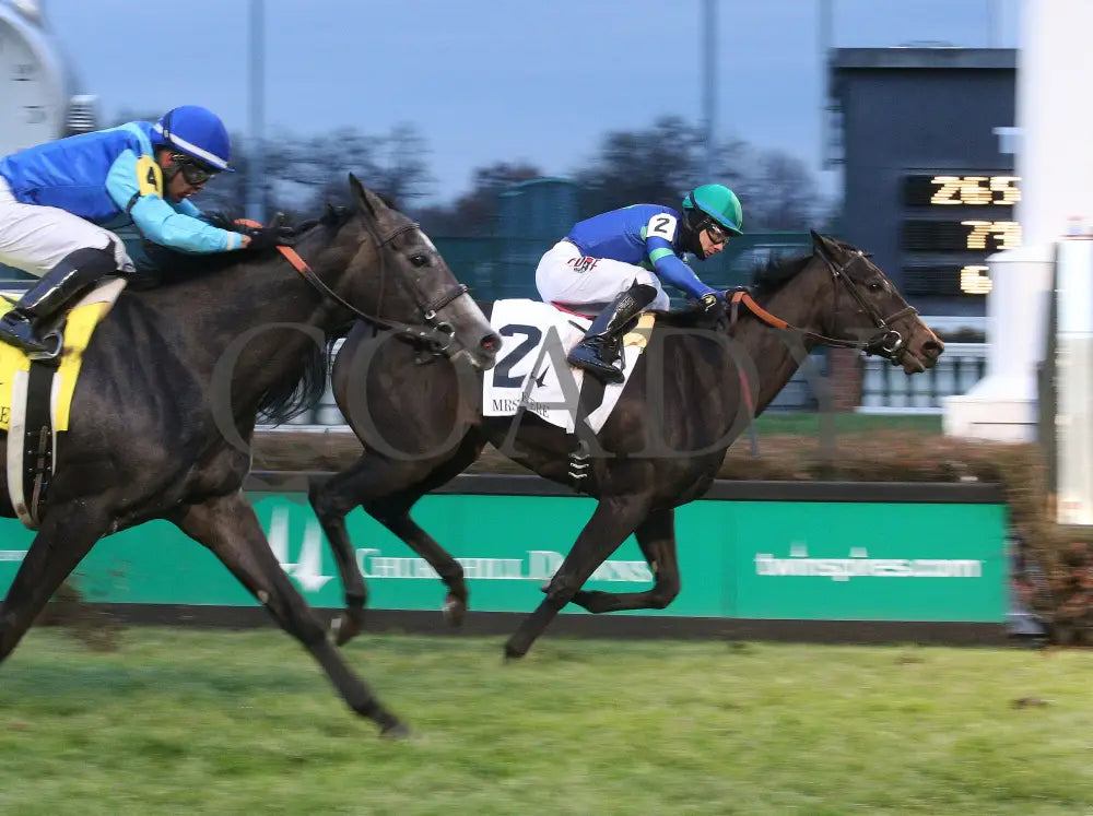 Nay Lady - Mrs. Revere G2 29Th Running 11-29-19 R09 Cd Finish 01 Churchill Downs