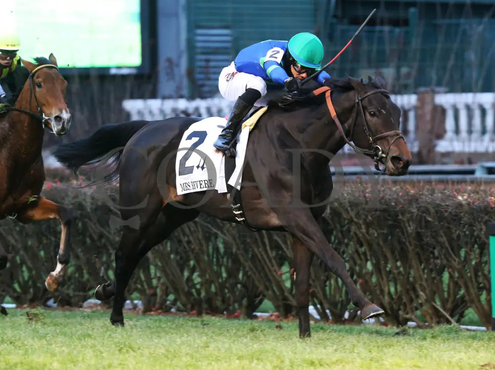 Nay Lady - Mrs. Revere G2 29Th Running 11-29-19 R09 Cd Finish 02 Churchill Downs