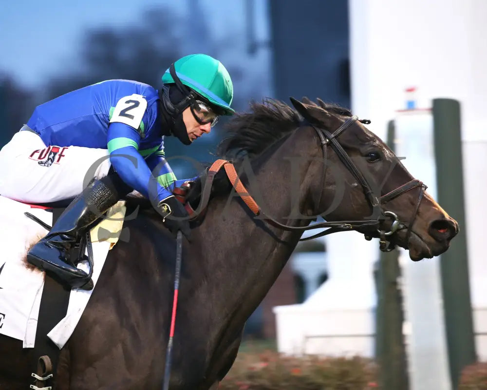 Nay Lady - Mrs. Revere G2 29Th Running 11-29-19 R09 Cd Finish 04 Churchill Downs