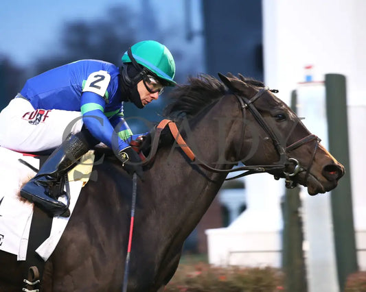 Nay Lady - Mrs. Revere G2 29Th Running 11-29-19 R09 Cd Finish 04 Churchill Downs