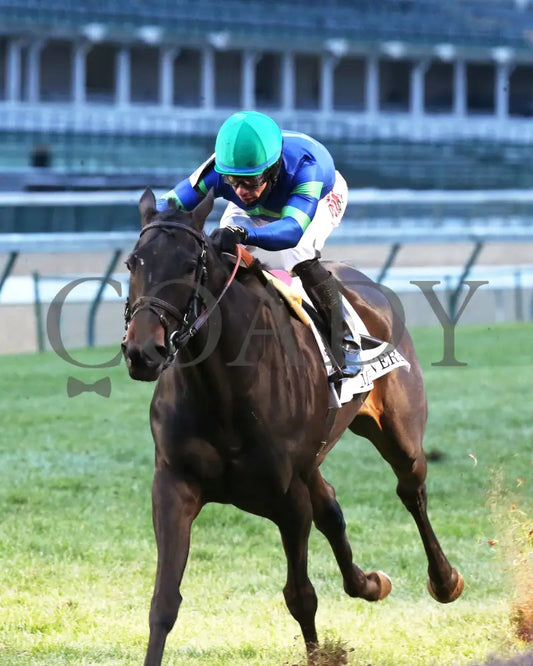 Nay Lady - Mrs. Revere G2 29Th Running 11-29-19 R09 Cd Inside Finish 01 Churchill Downs