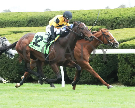 Neat - Transylvania Stakes 04 - 05 - 24 R08 Kee Finish 02 Keeneland
