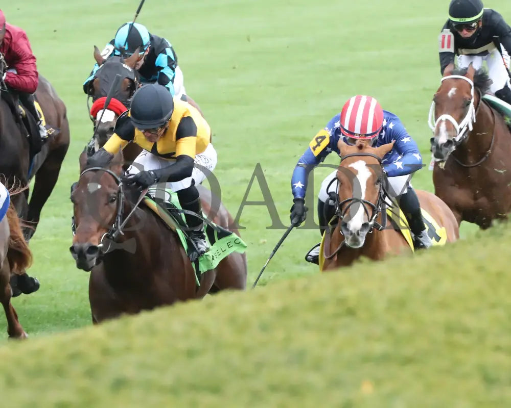Neat - Transylvania Stakes 04 - 05 - 24 R08 Kee Inside Finish 01 Keeneland